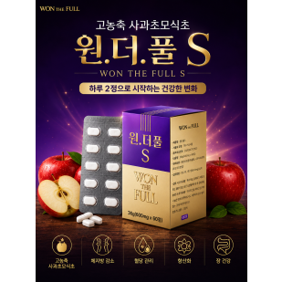 원더풀S